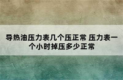 导热油压力表几个压正常 压力表一个小时掉压多少正常